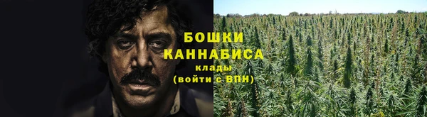 трава Мегион