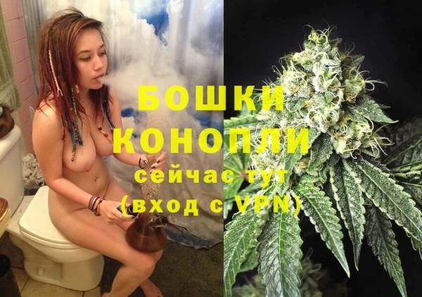гашик Медвежьегорск