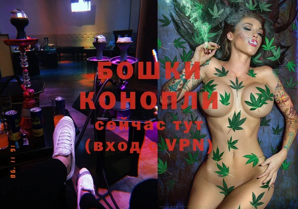 гашик Медногорск
