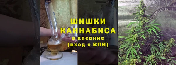 гашик Медногорск