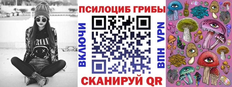 Купить где  Мариинск  Псилоцибиновые грибы GOLDEN TEACHER 
